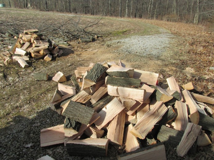 firewood pile Green wood.
