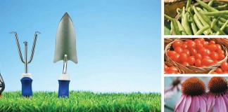garden tools, green beans, cherry tomatoes and purple coneflowers