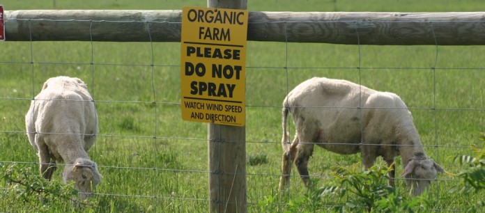 organic farm sign Organic sheep farm