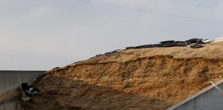 silage in bunker silo