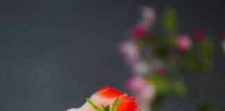 Strawberry Shortcake