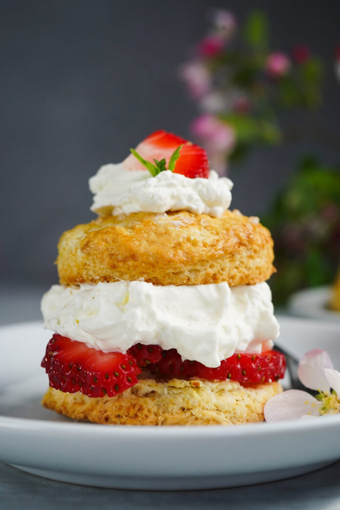 strawberry-shortcake-web Strawberry Shortcake