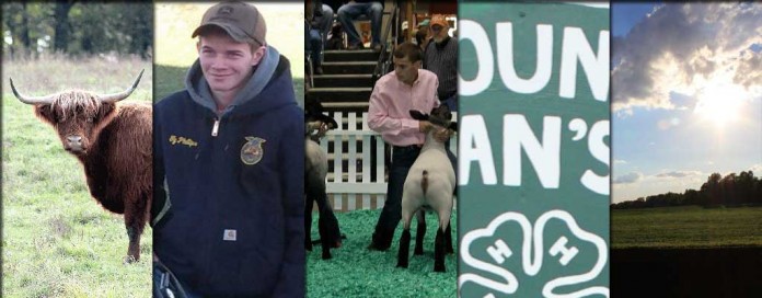 top 10 web stories of 2015 collage top 10 web stories of 2015 collage