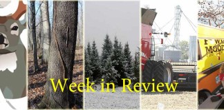 week in review collage for Dec. 5, 2015