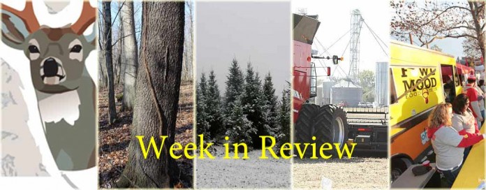 week in review collage for Dec. 5, 2015 week in review collage for Dec. 5, 2015