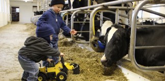 Farm Chores