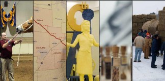 5 stories collage Jan. 16, 2016