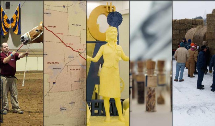 5 stories collage Jan. 16, 2016 5 stories collage Jan. 16, 2016