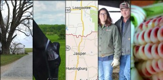 5 stories collage: Jan. 23, 2016