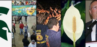 5 stories collage: Jan. 30, 2016