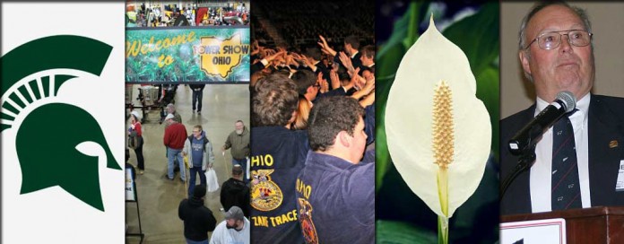 5 stories collage: Jan. 30, 2016 5 stories collage: Jan. 30, 2016