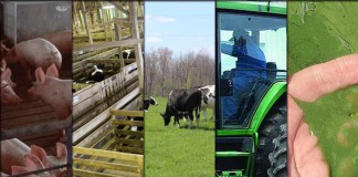 5 stories farmers read this week collage Jan. 9