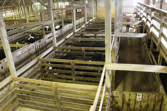 Livestock market Livestock market