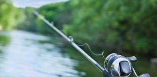 fishing rod