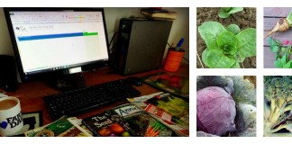 garden planning and crops collage