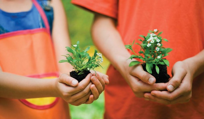kids holding flowers kids holding flowers