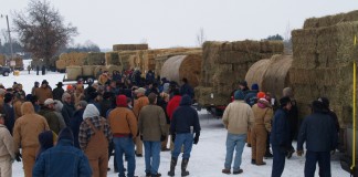 Kidron Hay Sale