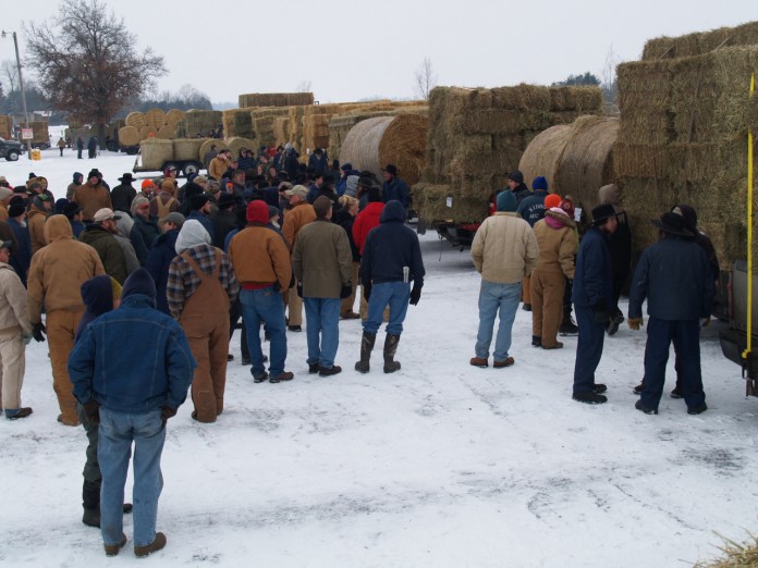 Kidron Hay Sale Kidron Hay Sale