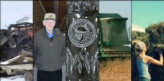 5 stories collage Feb. 20, 2016