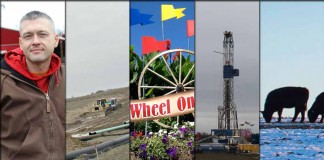 5 stories collage Feb. 13, 2016