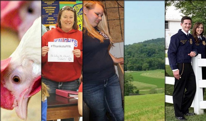 5 stories collage for Feb. 27, 2016 5 stories collage for Feb. 27, 2016