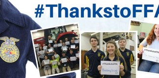collage of FFA photos