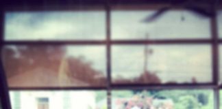 Cream Cheese Brownies on a plate near a window with an antique truck outsite the window.