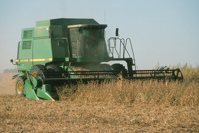 soybean combine.unlphoto Combining soybeans