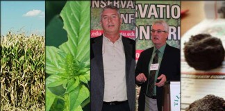 5 stories collage for March 12, 2016