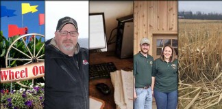 5 stories collage March 19, 2016