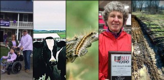 5 stories collage - March 26, 2016