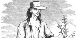 Johnny Appleseed drawing
