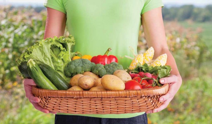basket of vegetables basket of vegetables