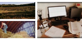 farm business collage
