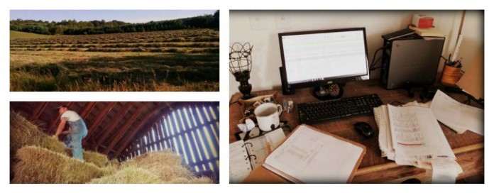 farm business collage farm business collage