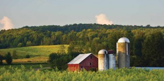 farm scene