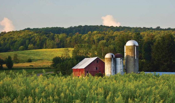farm scene farm scene