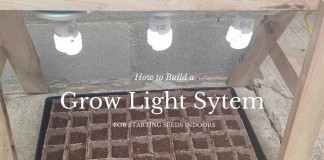 grow light system for starting seeds indoors