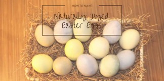 naturally dyed Easter eggs