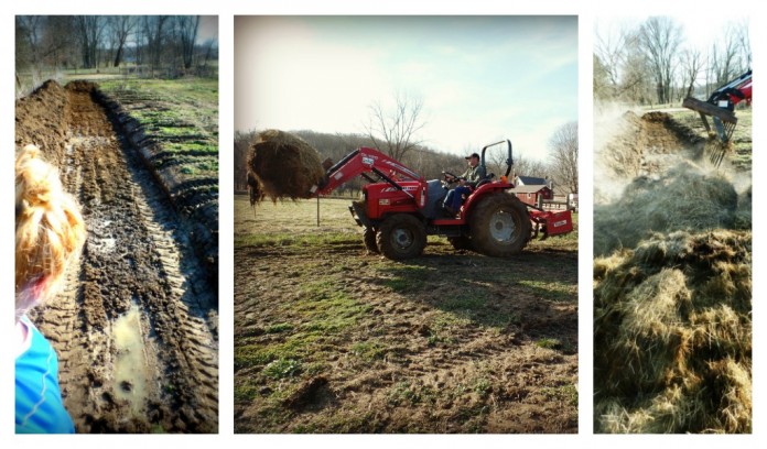 trench composting trench composting