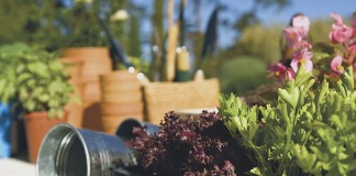 Fairy gardens are a fun way to introduce children to gardening. Once families get started, they may want to create entire fairy villages.