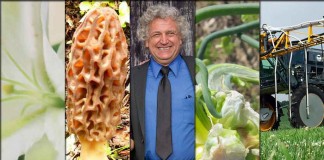 5 stories collage April 2, 2016