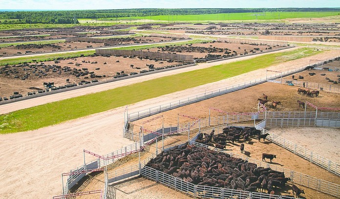 CAB in Russia Certified Angus Beef in Russia