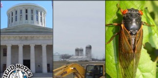 Field Notes for April 28, 2016