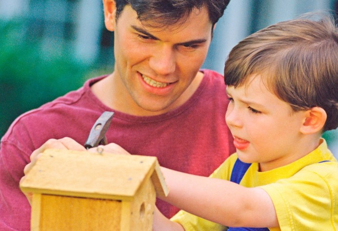 birdhouse birdhouse