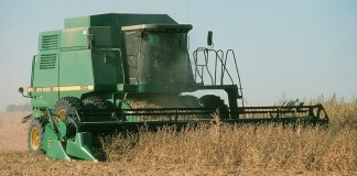 combining soybeans
