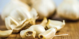 garlic