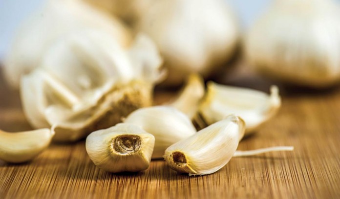 garlic garlic