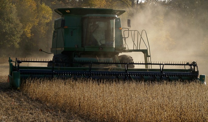 harvesting soybeans harvesting soybeans