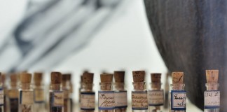 seeds in vials
